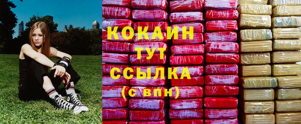 a pvp Дмитровск