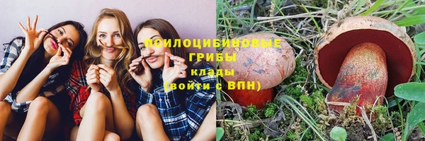 Альфа ПВП Гусиноозёрск