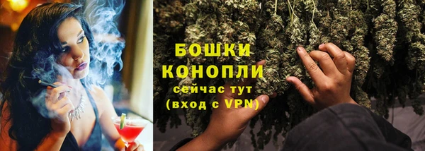 ГАЛЛЮЦИНОГЕННЫЕ ГРИБЫ Дмитриев