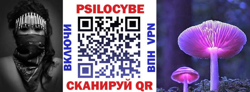 ссылка на мегу ссылки Чухлома Галлюциногенные грибы Cubensis
